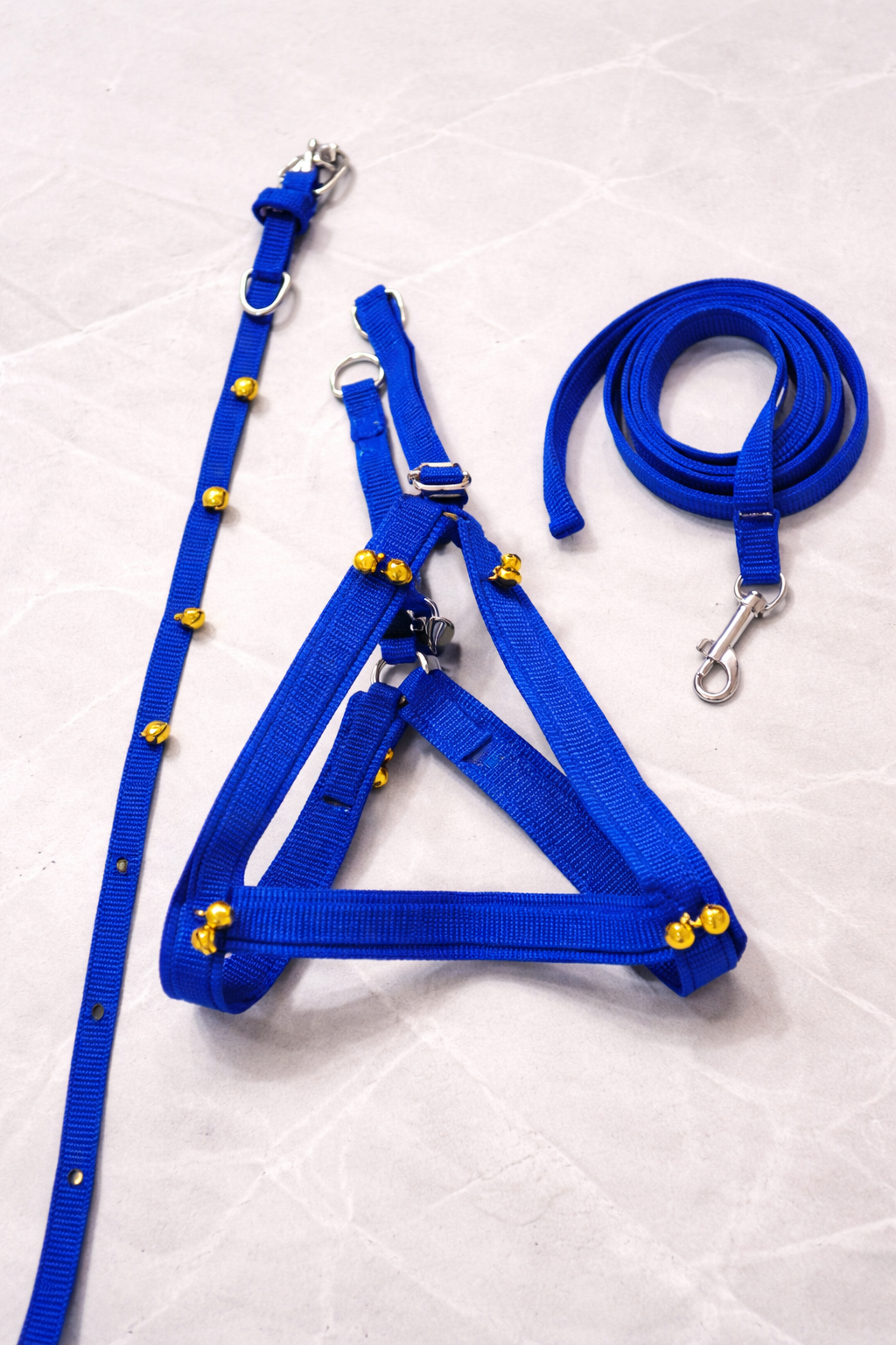 Small Ghungroo Harness Belt coller Blue