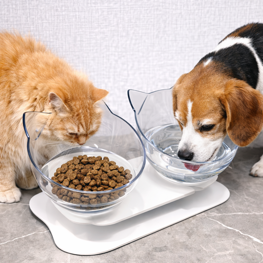 Premium Elevated Feeding Bowls for Cats & Small Dogs - Non-Slip, Removable Stainless Steel Inserts - Hygienic, Durable Design Promotes Healthy Digestion and Optimal Posture - Adjustable & Easy to Clean